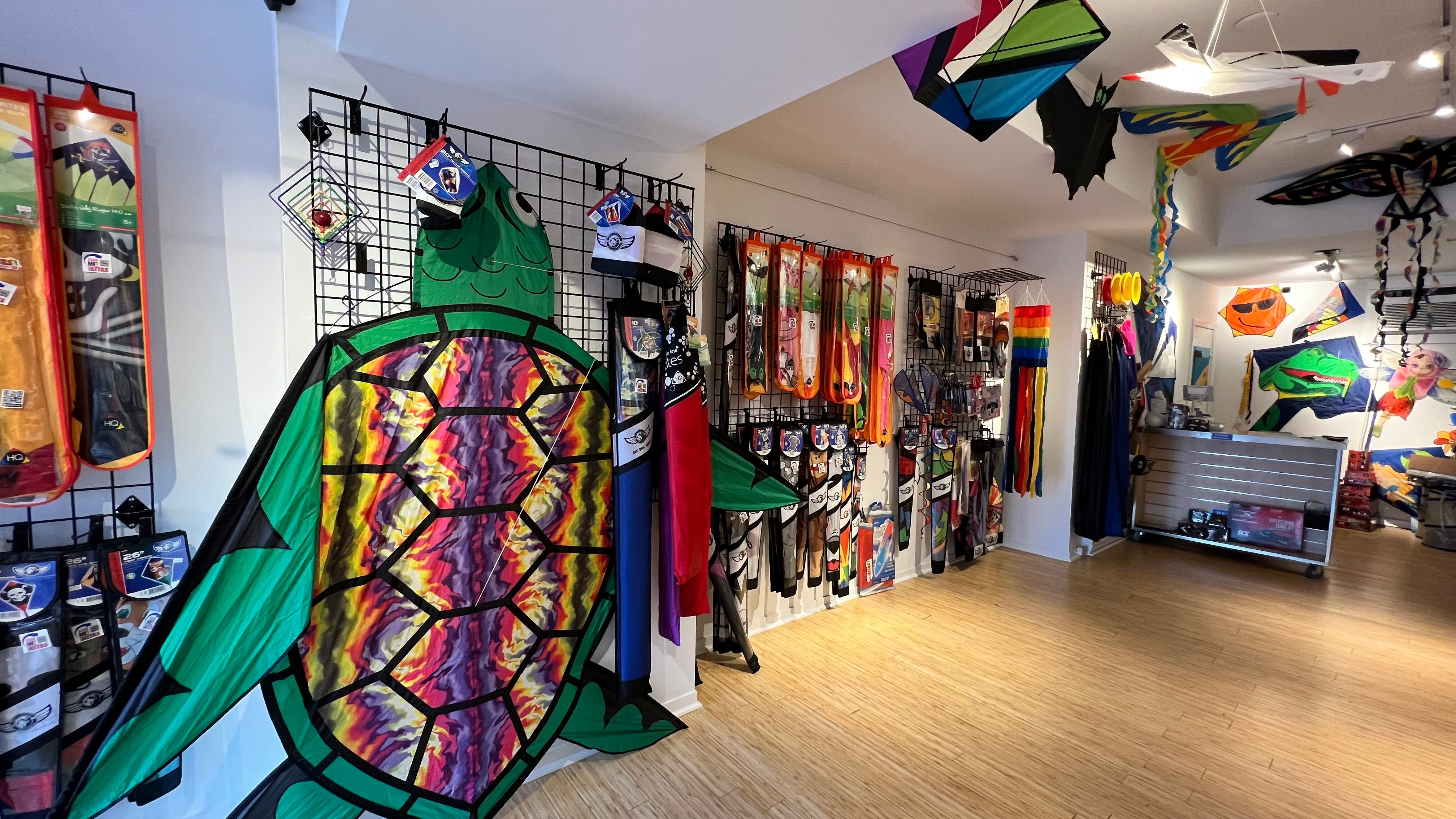 "Soaring High: A Beginner's Guide to Easy-to-Fly Kites"